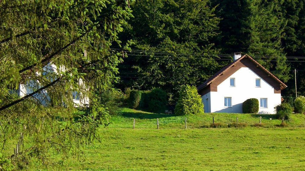 Logis Hotel Restaurant La Vigotte Girmont-Val-dʼAjol Exterior foto