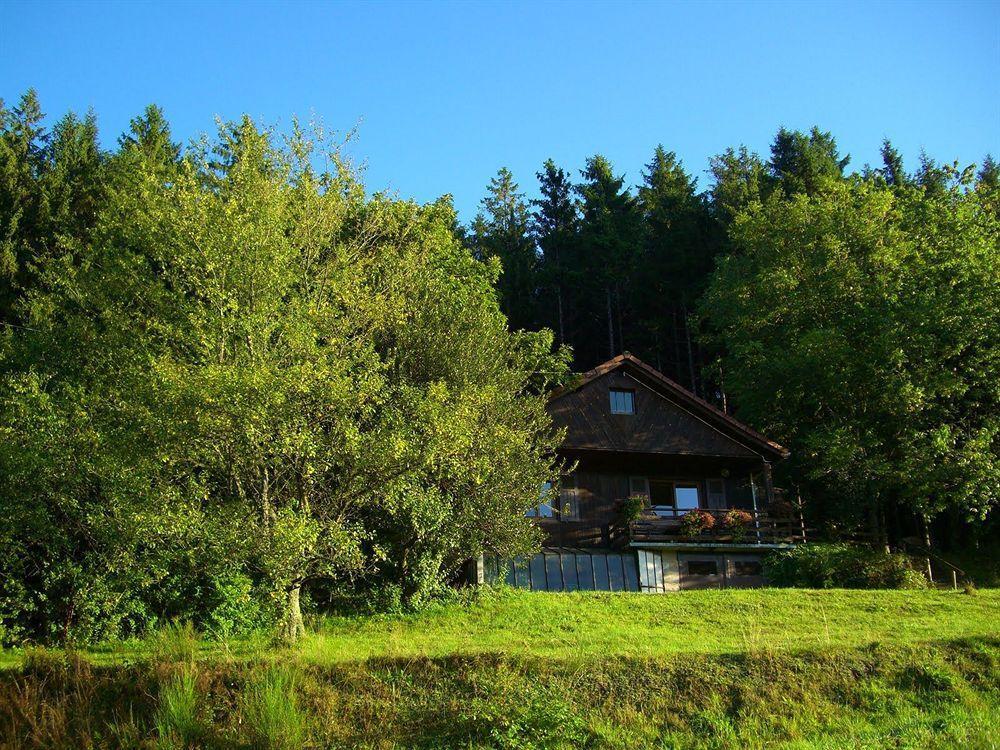 Logis Hotel Restaurant La Vigotte Girmont-Val-dʼAjol Exterior foto