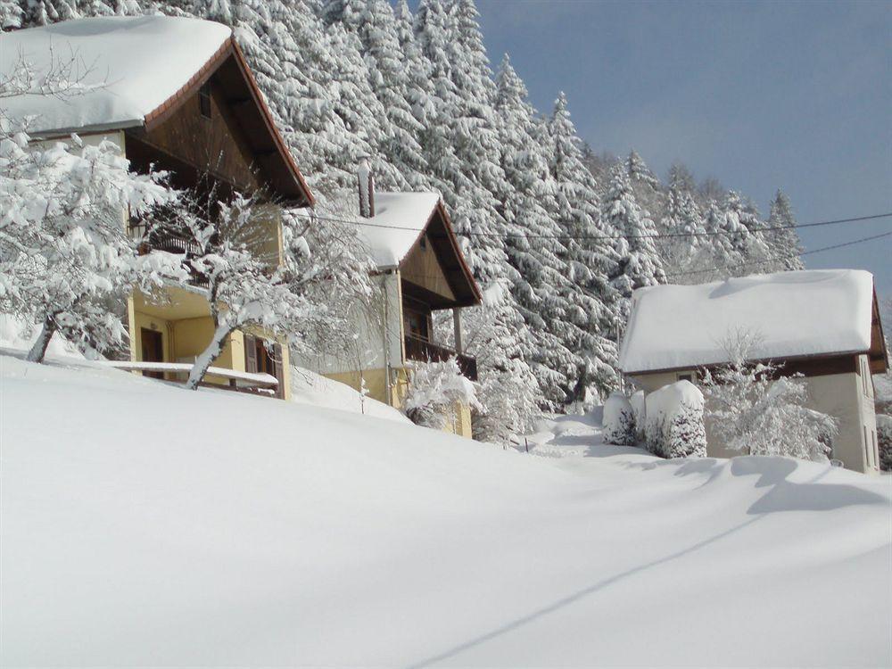 Logis Hotel Restaurant La Vigotte Girmont-Val-dʼAjol Exterior foto