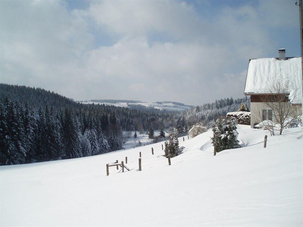 Logis Hotel Restaurant La Vigotte Girmont-Val-dʼAjol Exterior foto