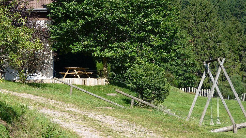 Logis Hotel Restaurant La Vigotte Girmont-Val-dʼAjol Exterior foto