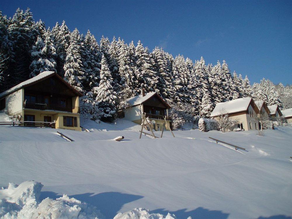 Logis Hotel Restaurant La Vigotte Girmont-Val-dʼAjol Exterior foto