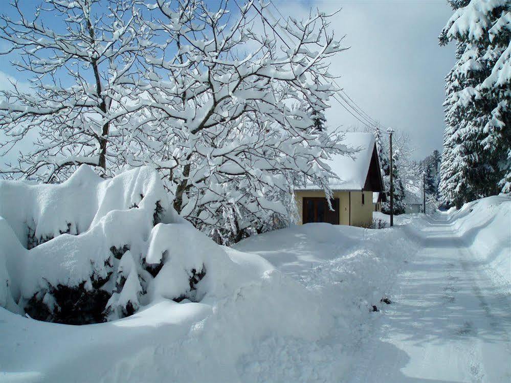 Logis Hotel Restaurant La Vigotte Girmont-Val-dʼAjol Exterior foto